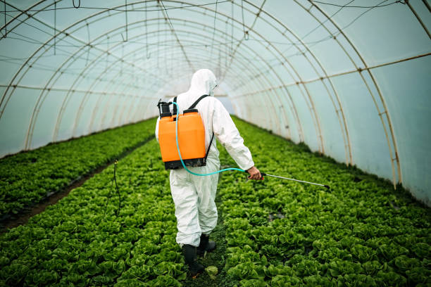 Best Best Pest Control Companies  in Turlock, CA