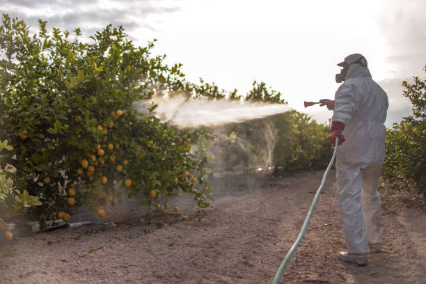 Best Pest Inspection Near Me  in Turlock, CA
