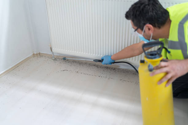 Best Bed Bug Extermination  in Turlock, CA