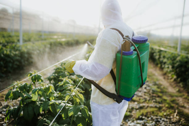 Best Emergency Pest Control  in Turlock, CA